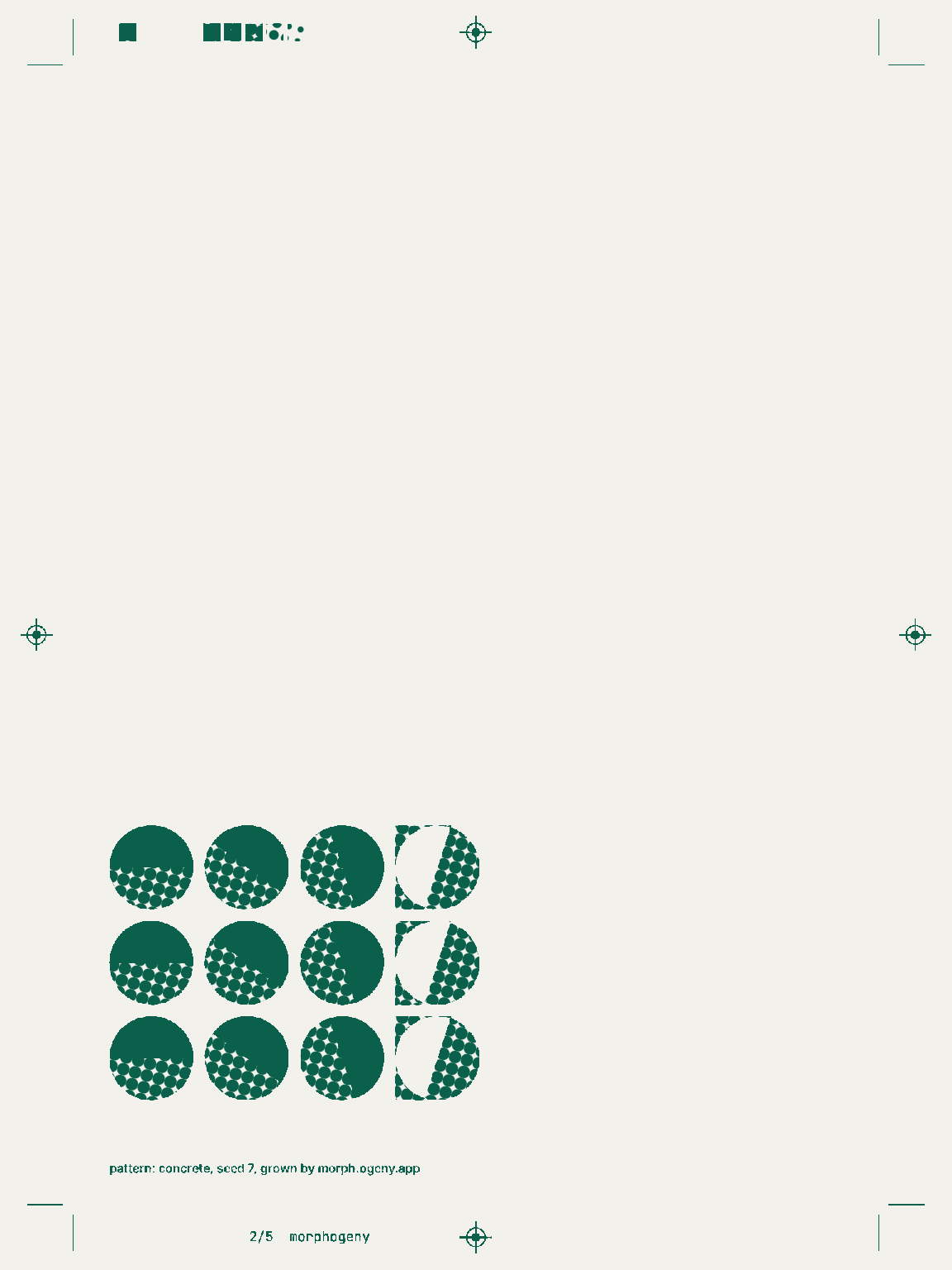 Plate 2 of the poster alone: the pattern, printed in Morphogeny’s ink.